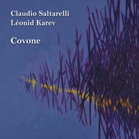 Stefano Chiarotti