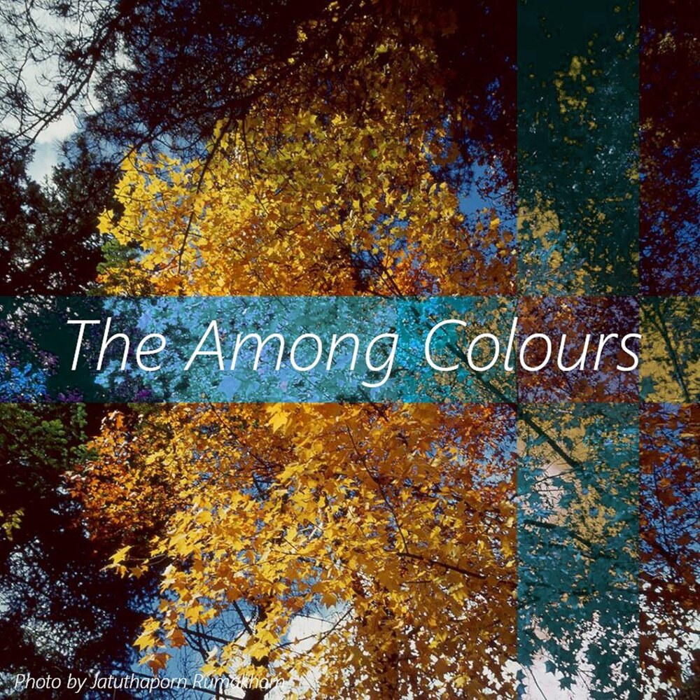 Among colors