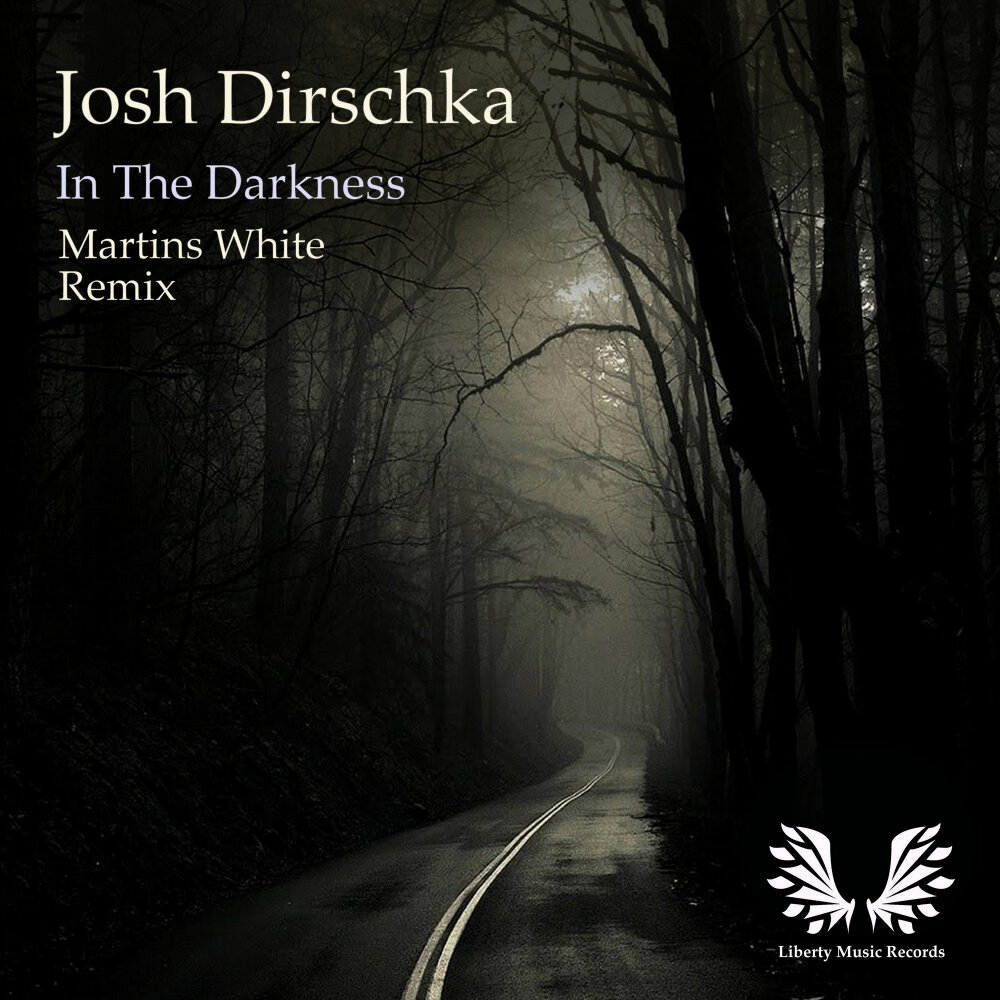 Перевод текста Darkness Josh a.