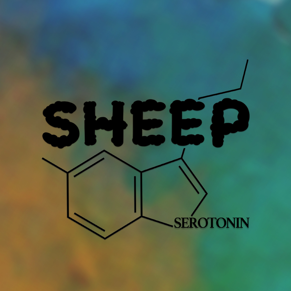 Sheep слушать. Серотонин песня. Футболка Serotonin. Арт на песню серотонин. Арт на песню молодость внутри - серотонин.