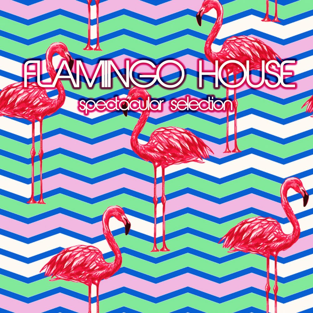 Слушать песню фламинго. Фламинго Хаус. Обложка к треку Фламинго. Песня Фламинго Певцы.