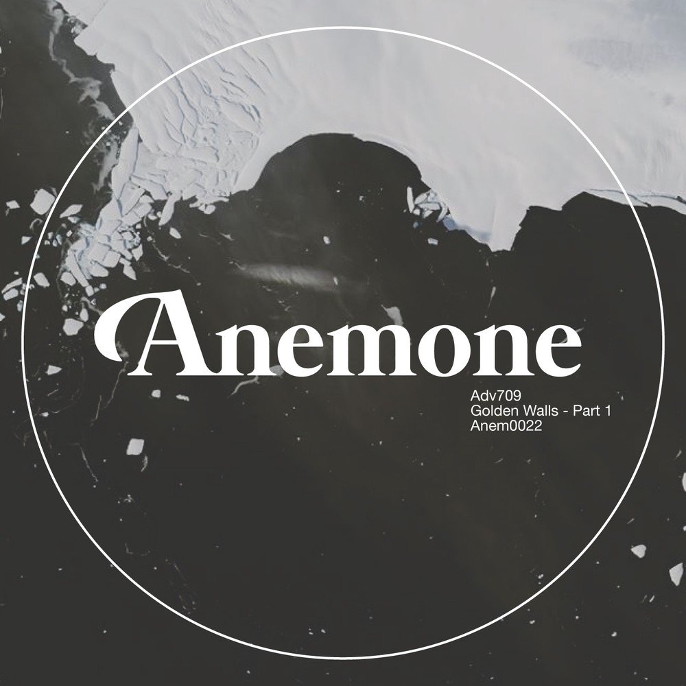 Pink floyd another brick in the wall. Pink floyd brick in the wall. Pink floyd brick the wall. Пинк флойд another brick. Пинк флойд анозер брик.