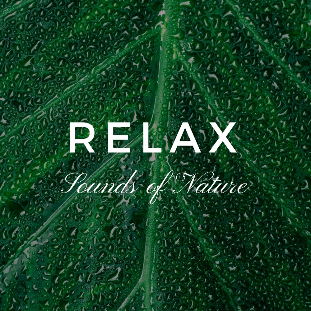 Relax lyrics. Mika relax take it easy. Relax lyrics. Relax lyrics. Demi lovato cool for the summer.