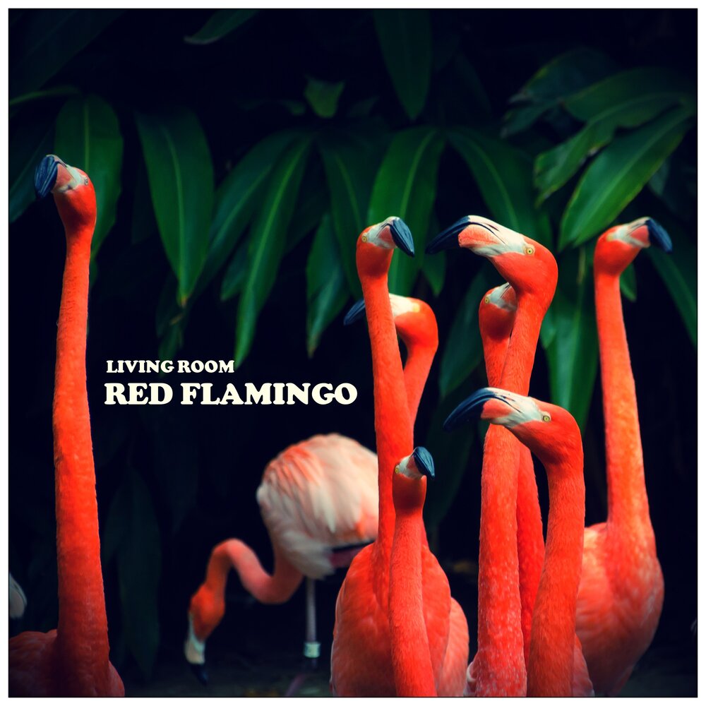 Слушать песню фламинго. Big Red Flamingo Fedor.