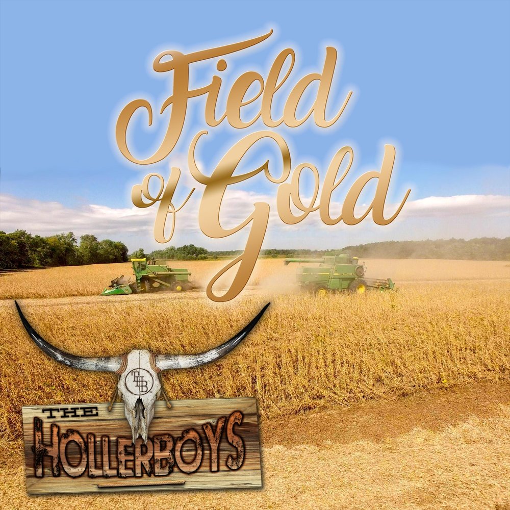 Fields of gold текст. Песня field. Album Art музыка fields of Gold.