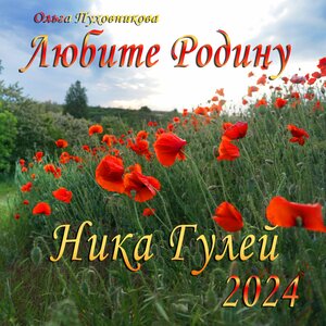 Любите Родину