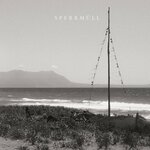 Sperrmüll