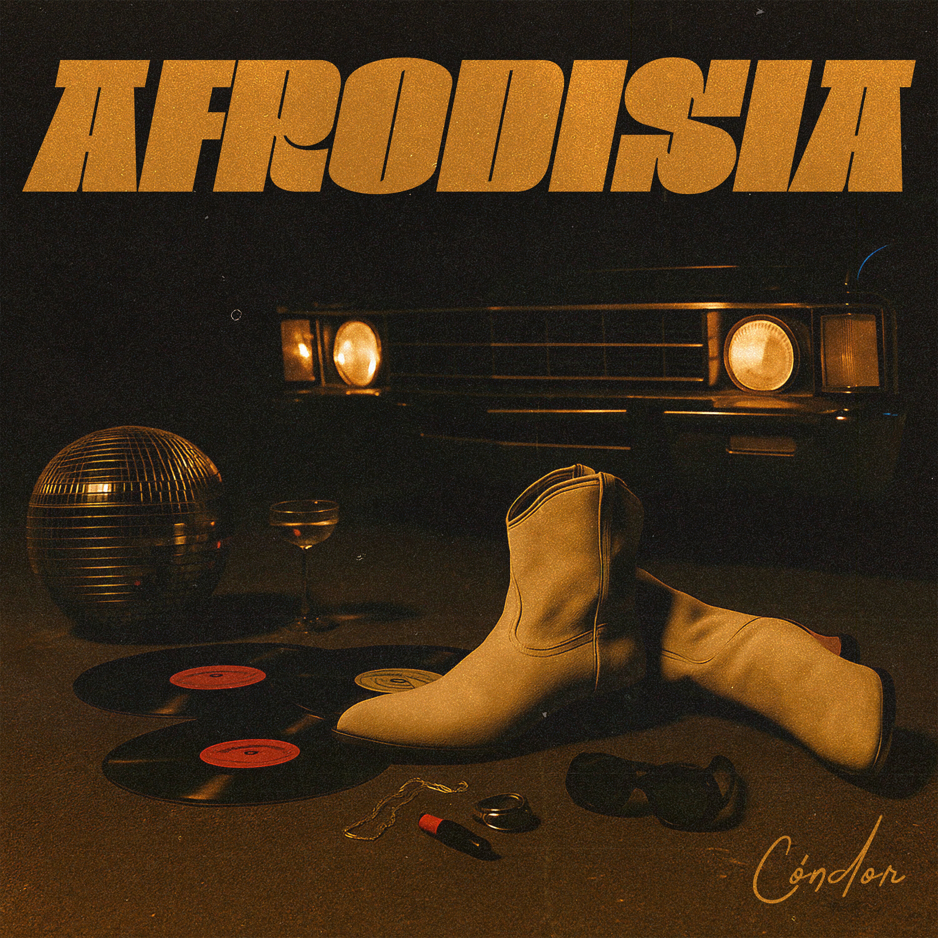 Обложка релиза Afrodisia