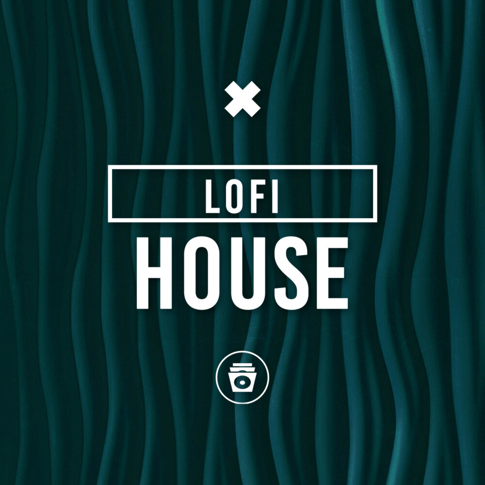 Обложка релиза Lofi House