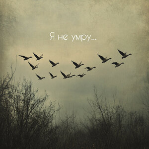 Я не умру...