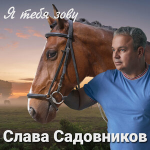 Я тебя зову