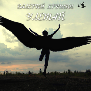 Валерий Ярушин