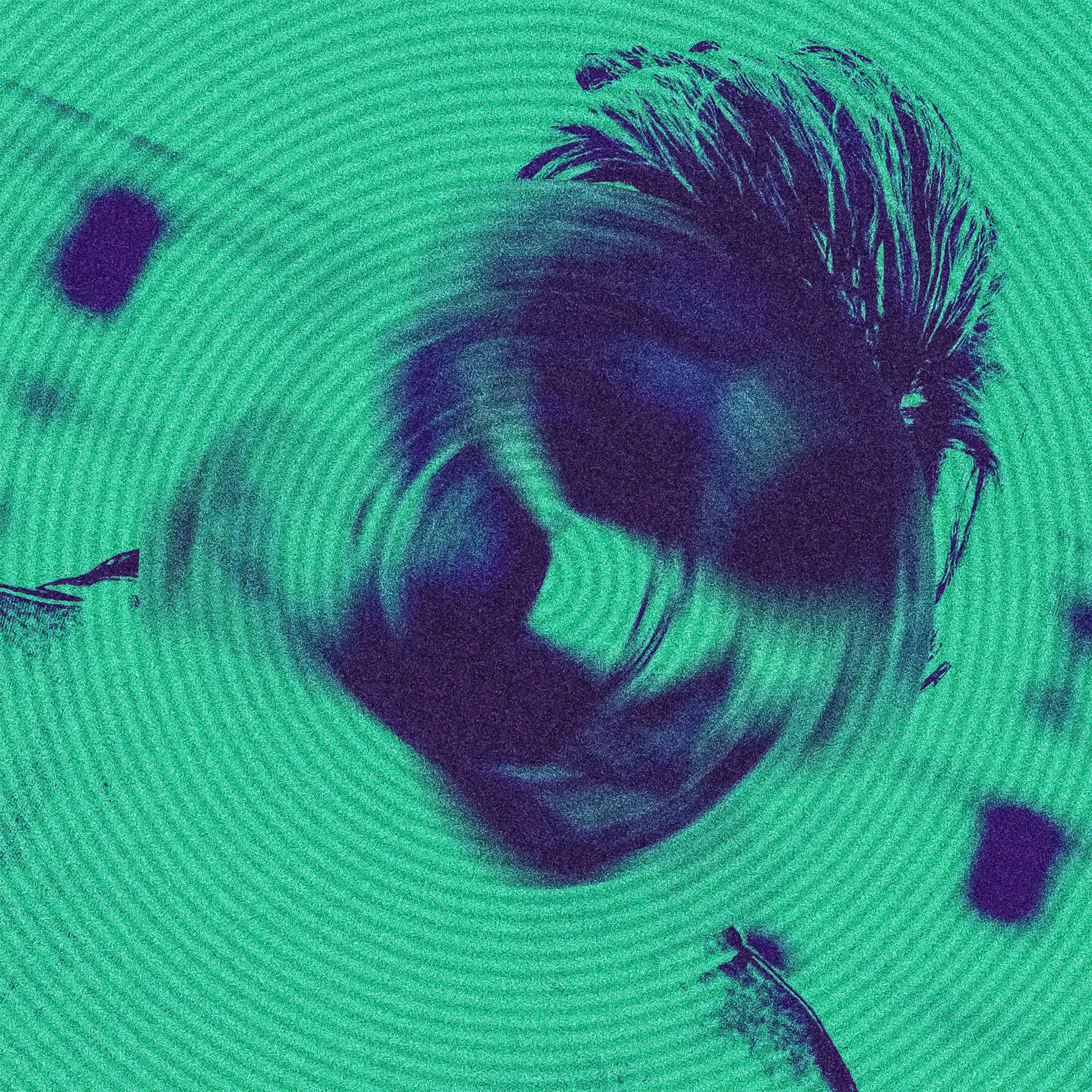 Ты как я