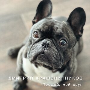 Прощай, мой друг