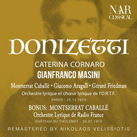 Gianfranco Masini