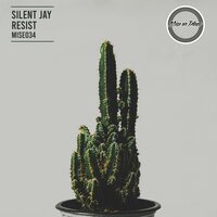 Silent Jay
