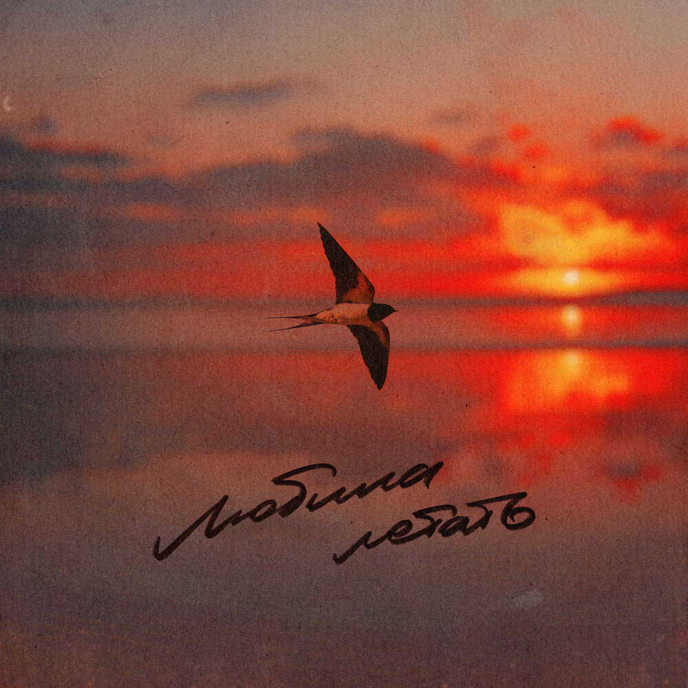 Любила летать