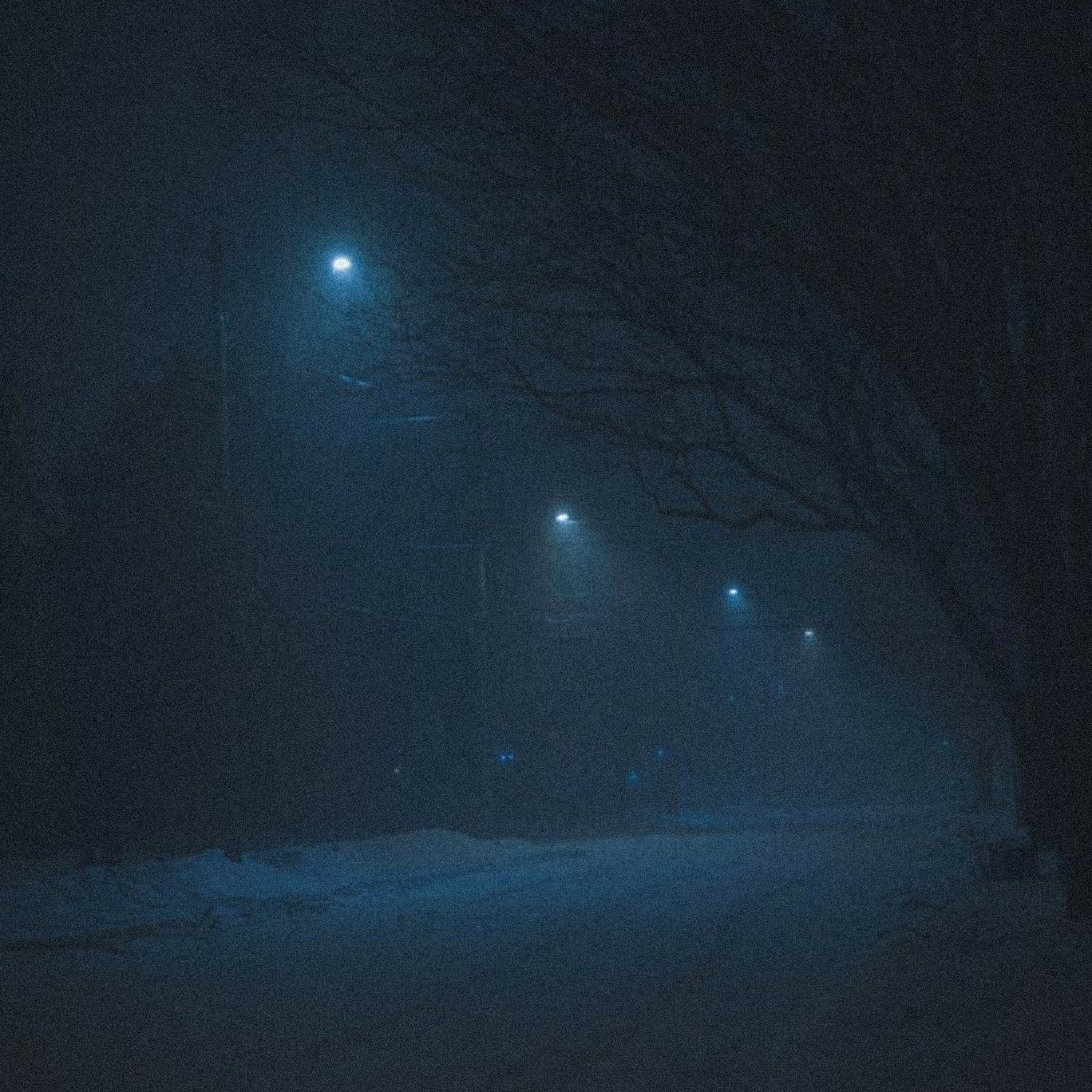 Фотография NERYXO