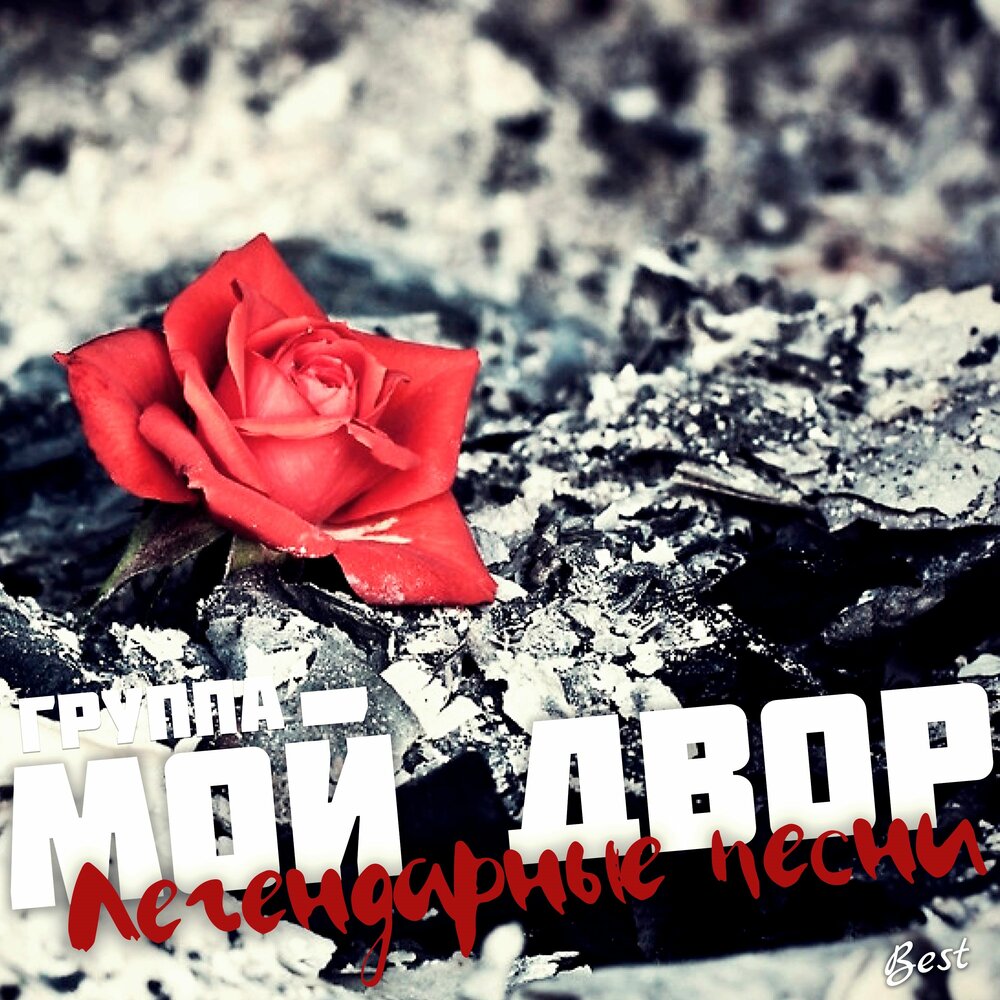Ты не пришла мой двор. Вывеска на будку для собаки. Ты не пришла мой двор. Ты не пришла мой двор. Ты не пришла мой двор.