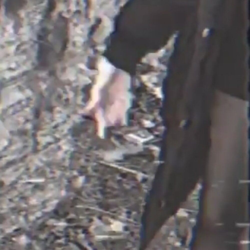 YandexMusic profile picture