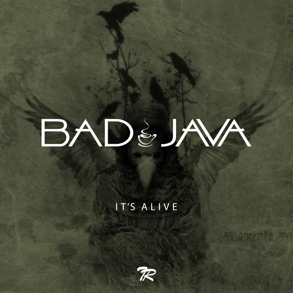 Фулл тилт грусть. Java картинки. Java логотип. Java bad. Java 11.