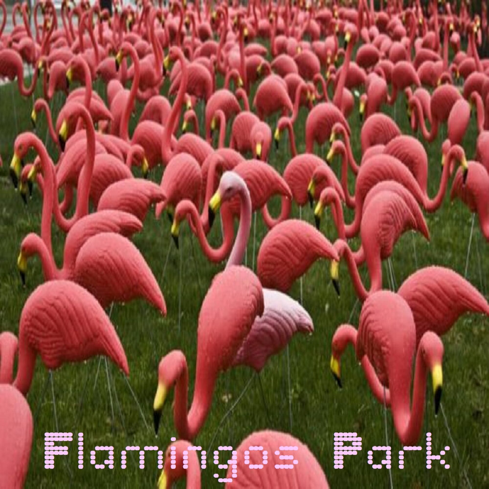 Слушать песню фламинго. Фламинго звук. Звучание Фламинго. Парк Flamingo. Парк Фламинго Путраджая.