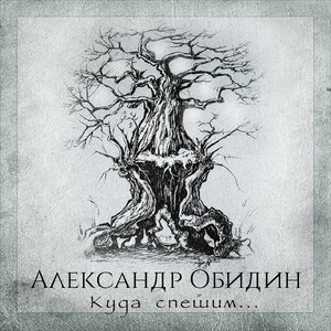 Александр Обидин