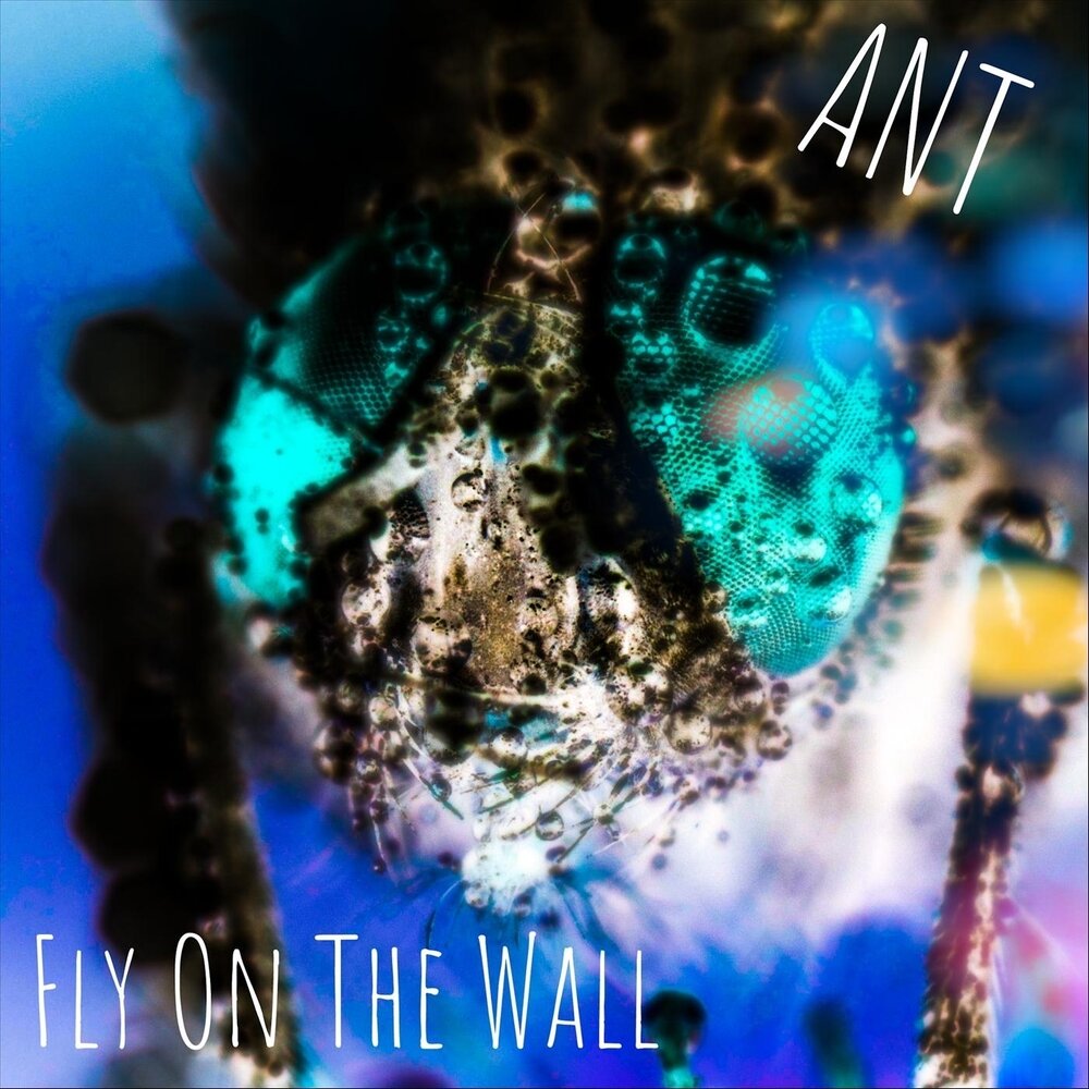 Ant слушать. Fly on the Wall.