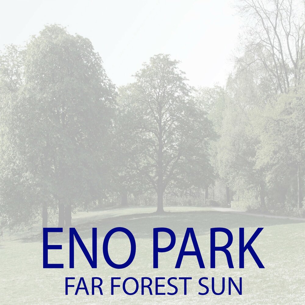 Far forest. Eno Park.