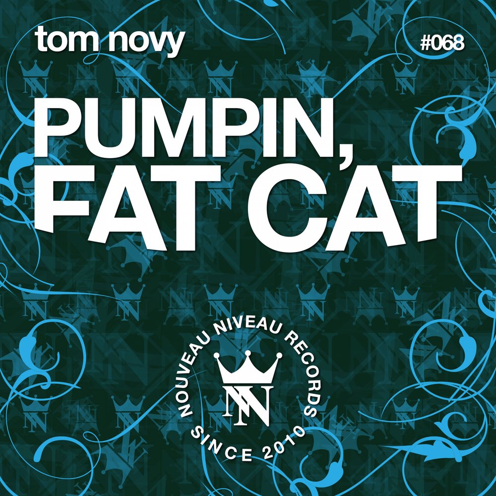 Tom novy. DJ fat Cat. Tom novy & Morgenroth - creator.