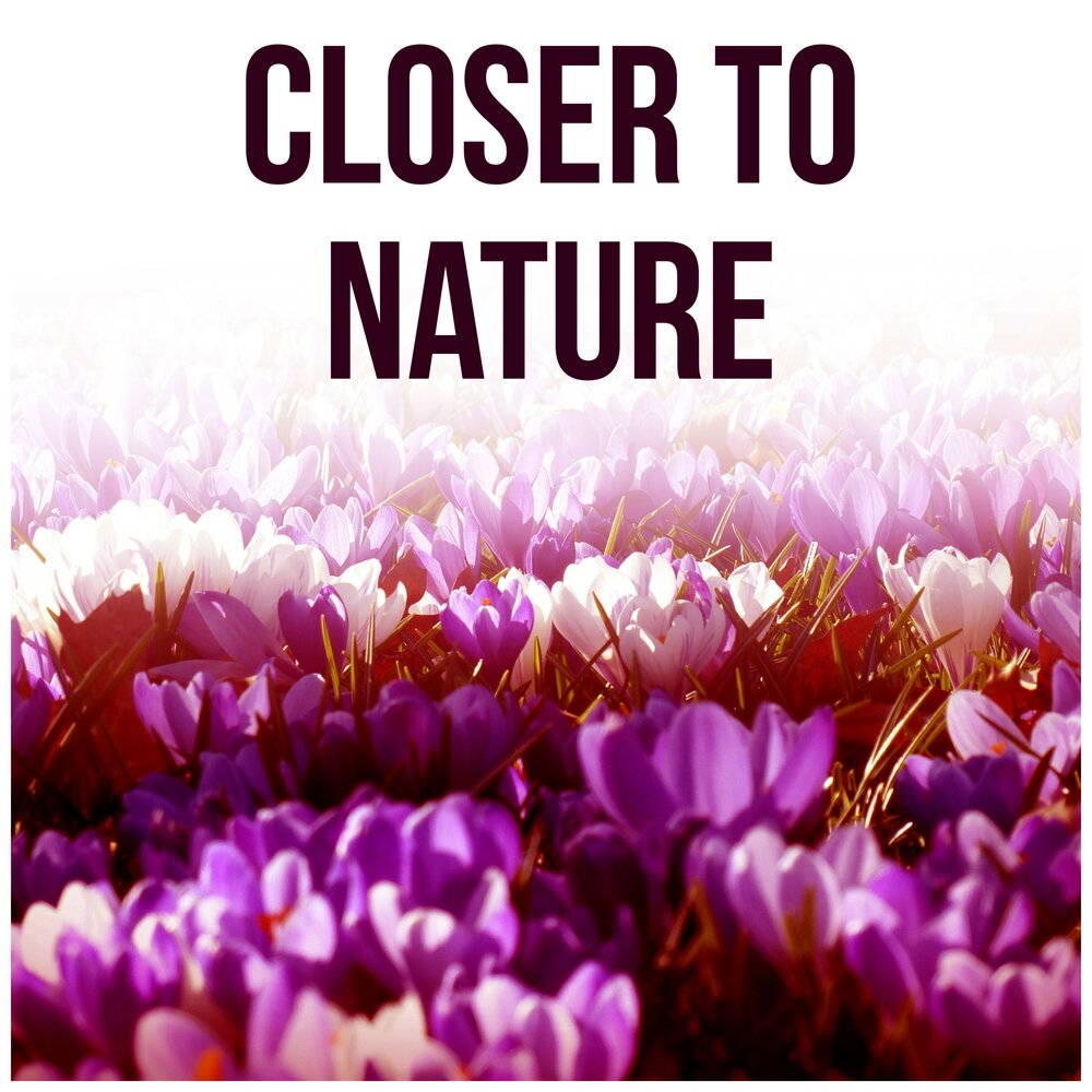 To be closer to nature. Closer to nature.