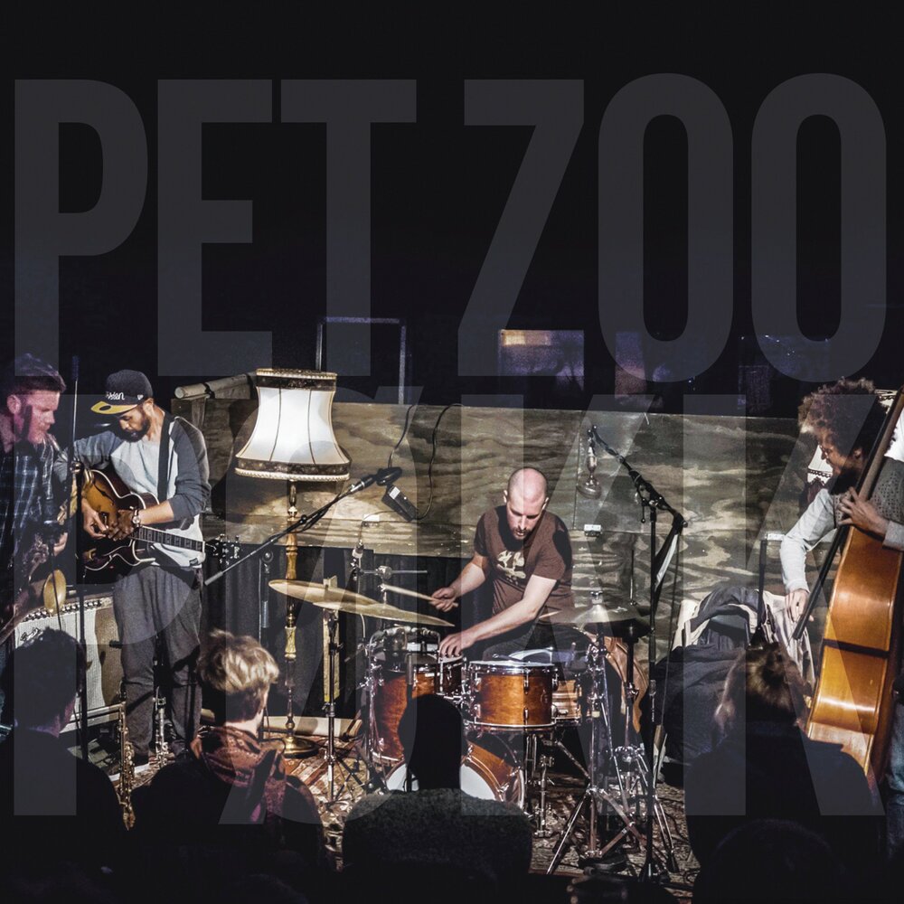 Music zoo. Zoo Jazz.