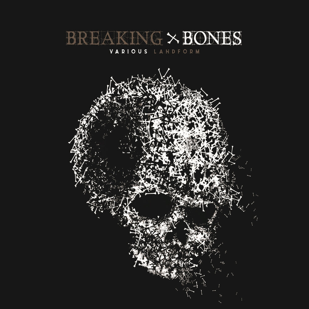 Various Bones. Breaking Bones перевод. Don bone
