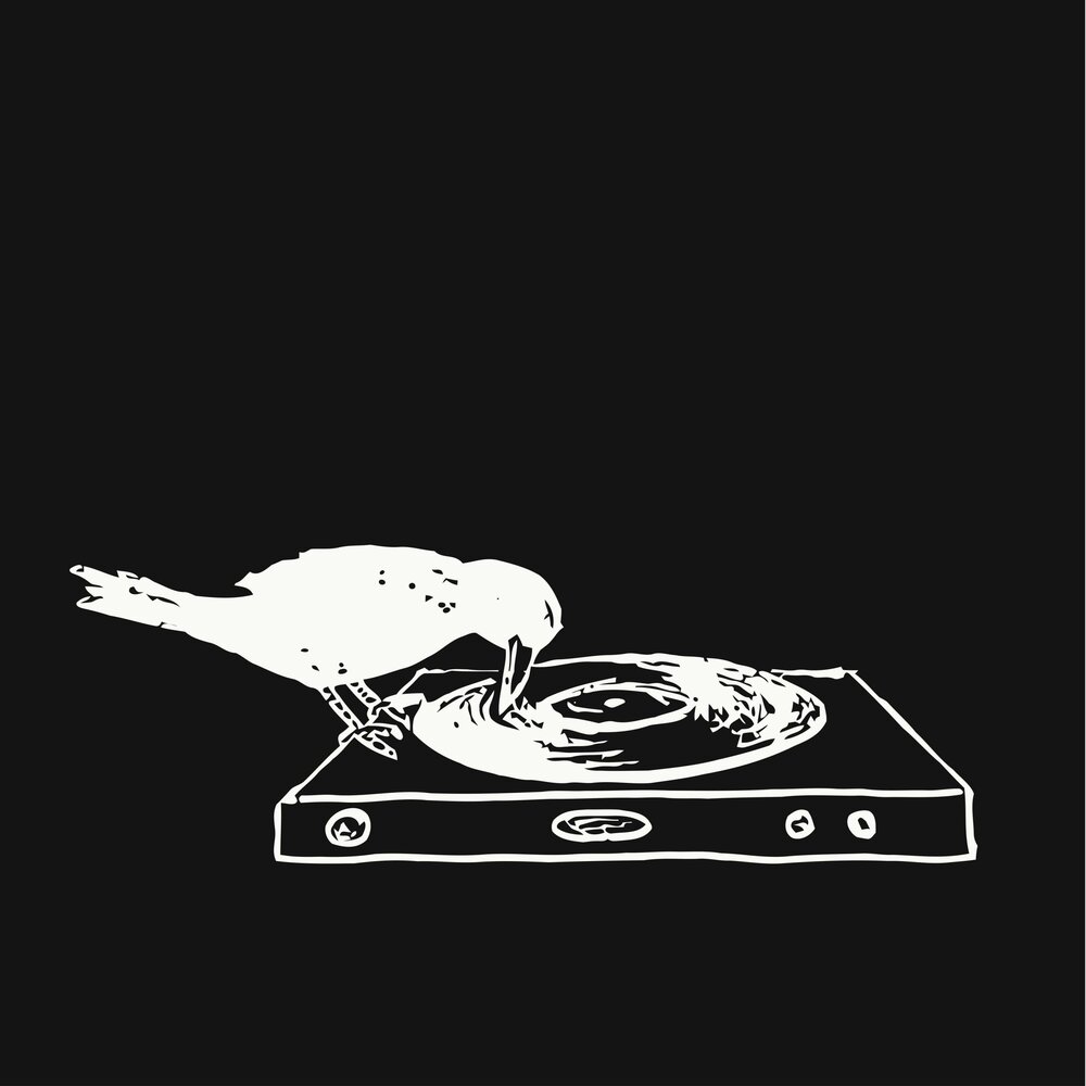 Dj crow. DJ the Crow. Pepe DJ.