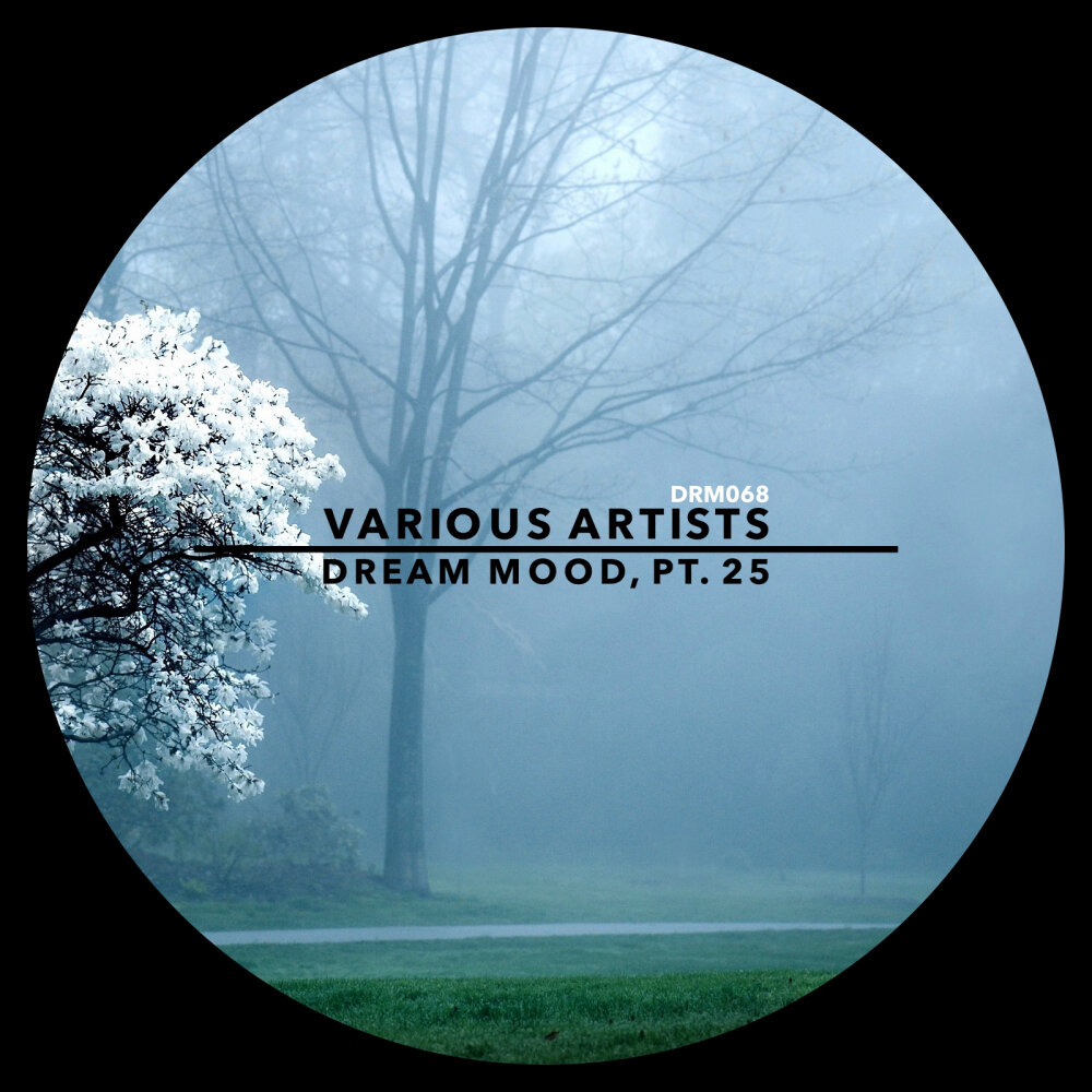 Dream moods. Dream moods. Dream mood надпись. Mood : dream. This music sounds beautiful.