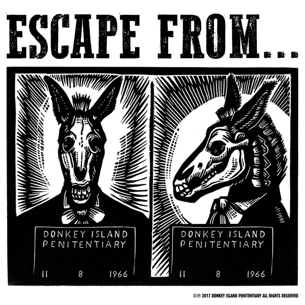 R3hab crazy donkey are you happy now. R3hab crazy donkey are you happy now