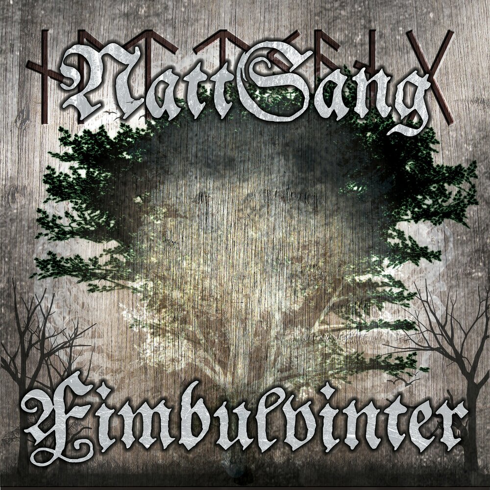 Фимбулвинтер скандинавская мифология. Фимбулвинтер. Писатель вольф ингер. Фимбулвинтер. Фимбулвинтер.