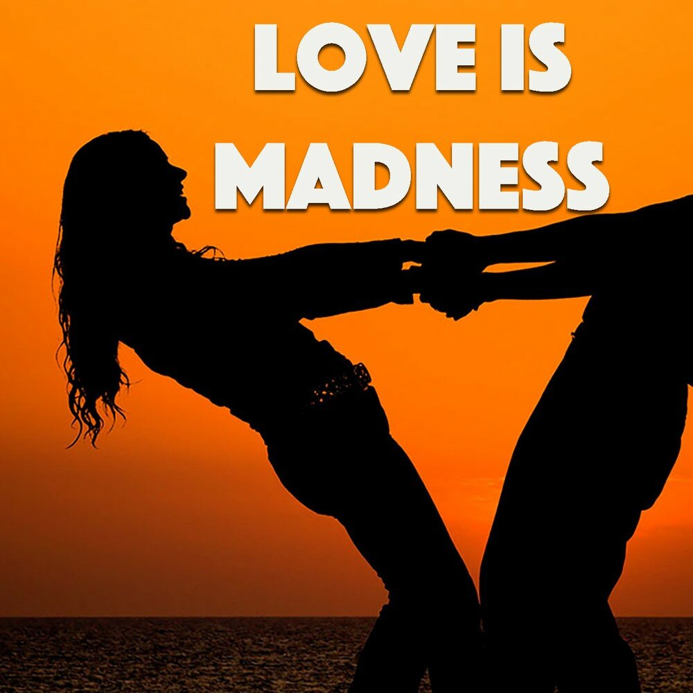 Love your thoughts. Love is Madness. Liberate my Madness.