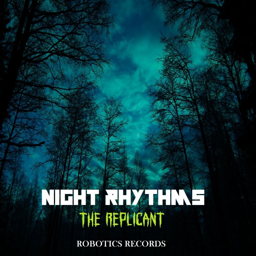 Night rhythm original mix