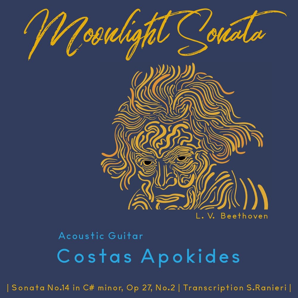 соната для фортепиано № 14. бетховен 14 c sharp minor. бах 36. бетховен 14 c sharp minor. 2 in c sharp minor, op.