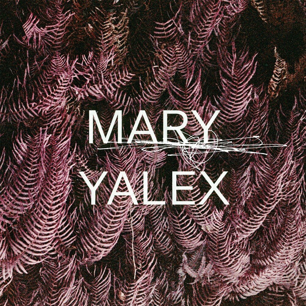 When mary makes. Yalex. Mary_Lex. Alex g Mary песня.