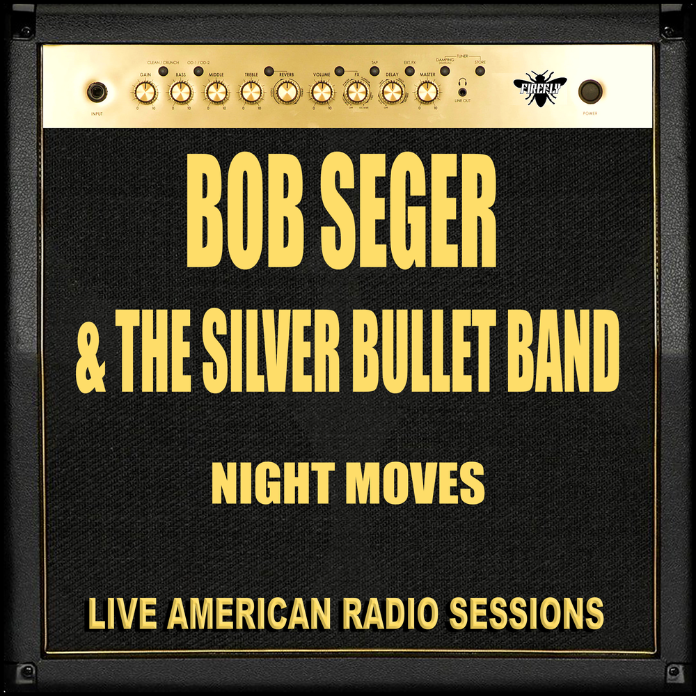 Bob seger night moves