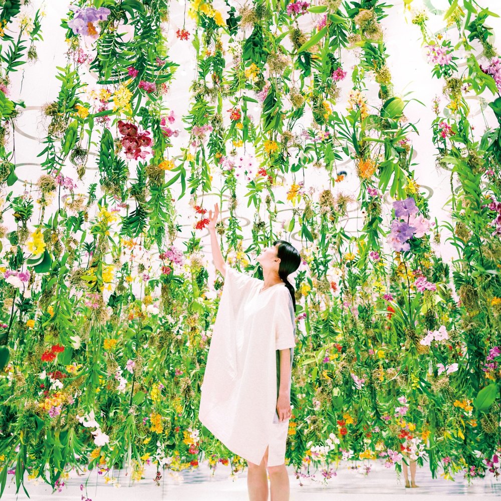 Same root. Поза Floating Garden. TEAMLAB Botanical Garden Osaka. Песня in a World of Flowers. Flower Floats.