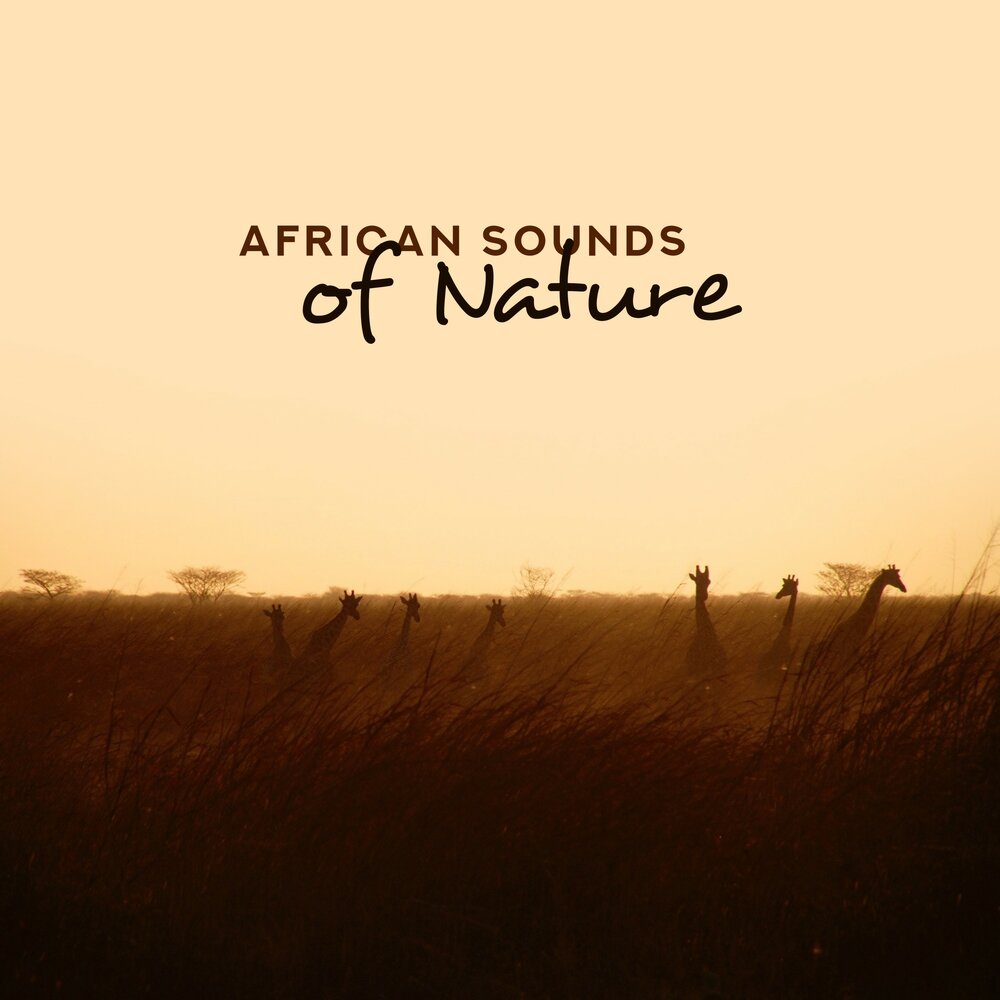 To be closer to nature. Sound Africa. Closer to nature. Closer to nature Words.