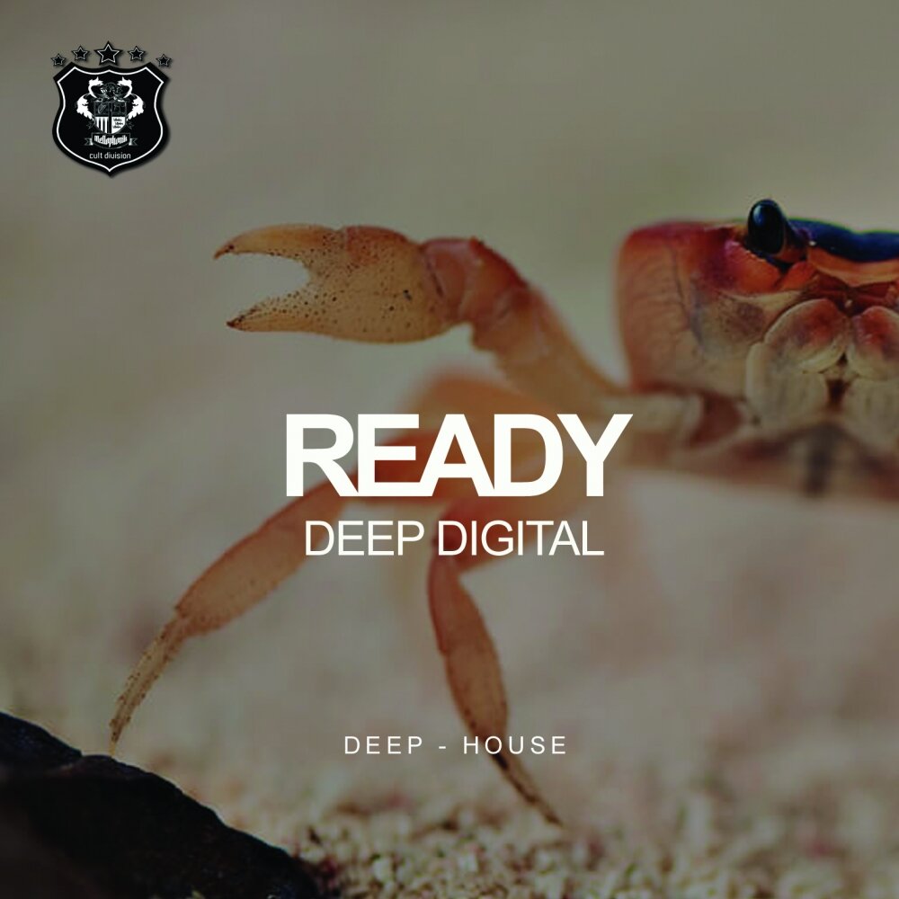 Ready album. Digital Deep.