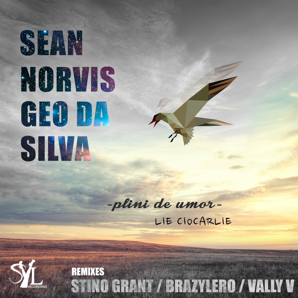 Geo da silva remix. Sean Norvis.