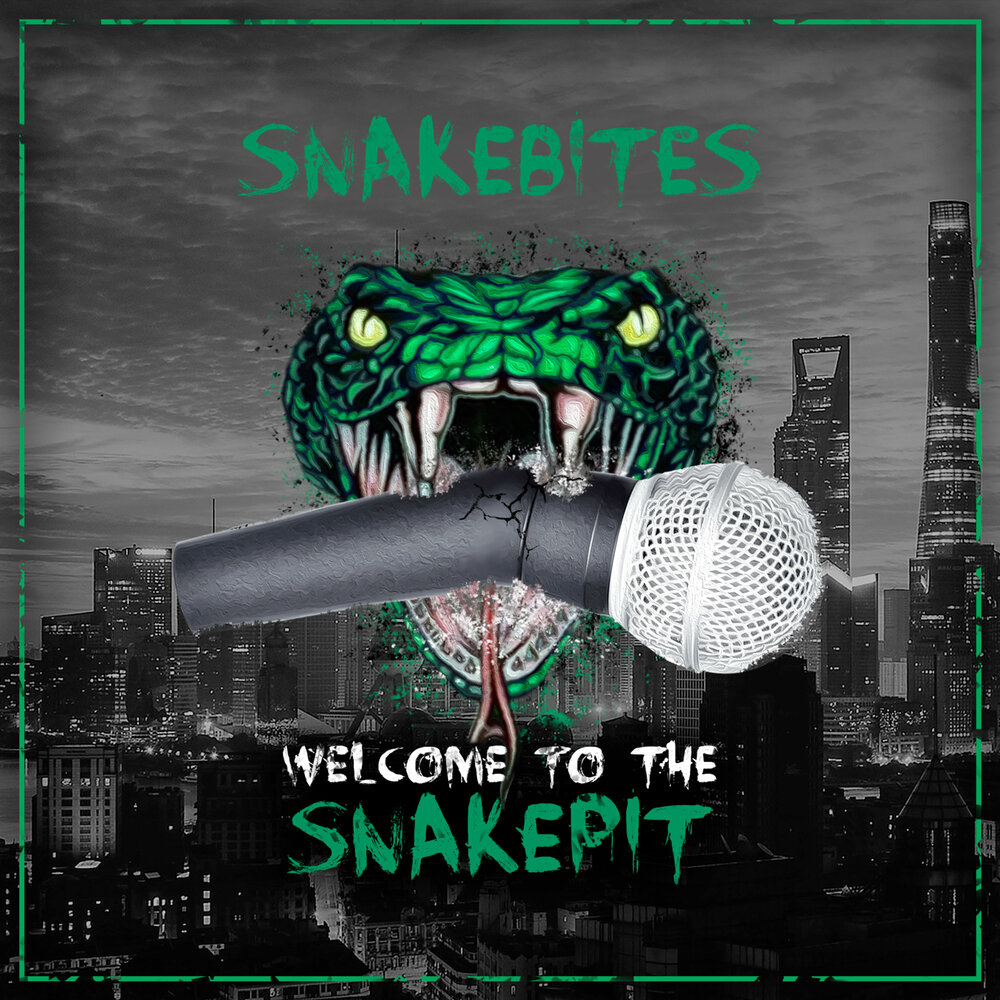 Snakebite. Snakebite обложка. Wannabe альбом. ЭПП УННВ Snakebite. Snakebite Delight Killer Covers 2023 обложки альбомов.