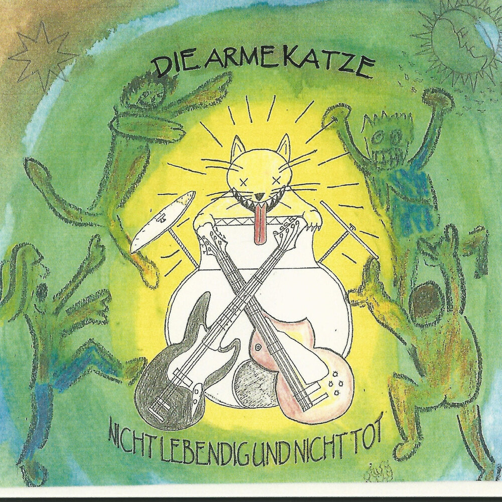 Die katze ist