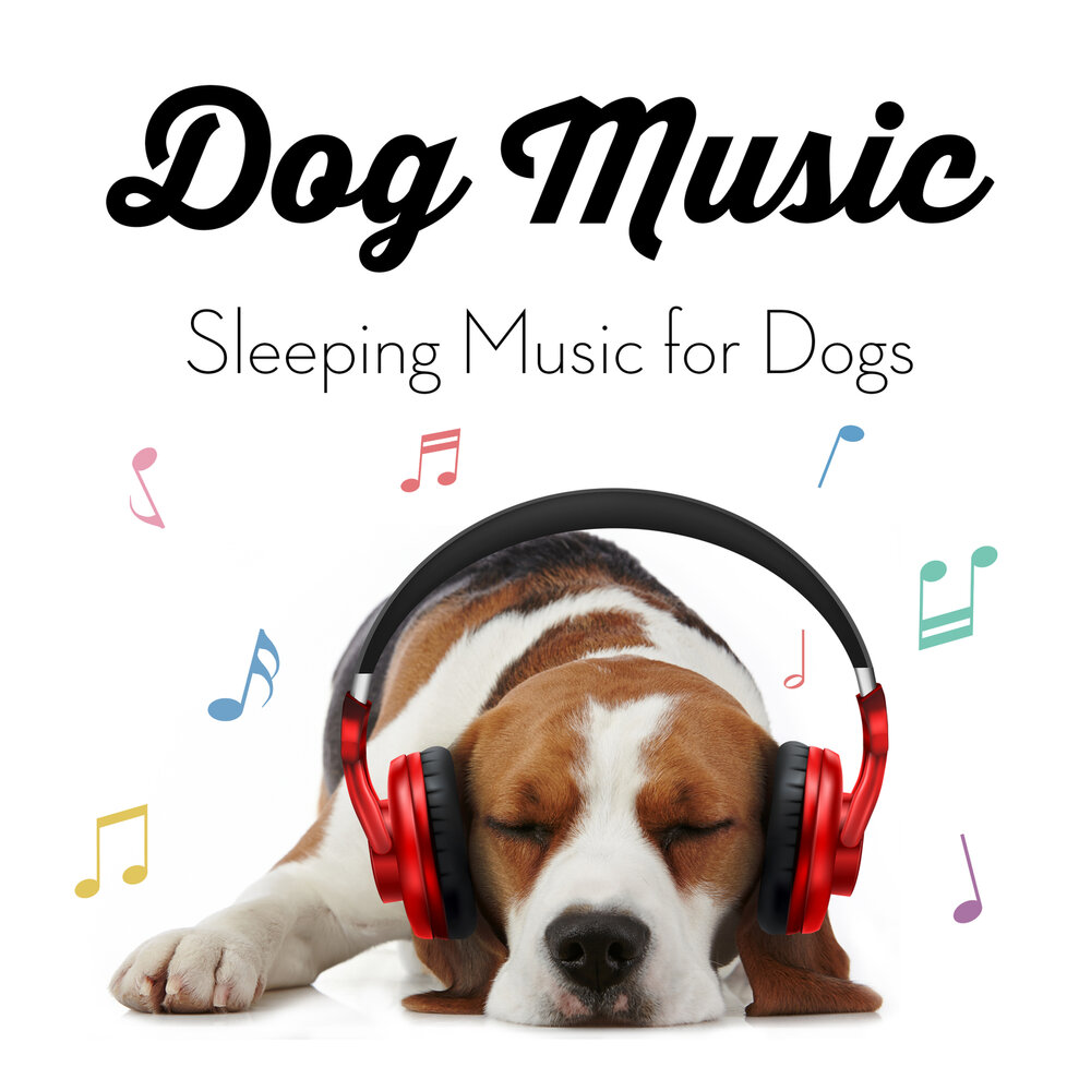 Music Dog. Собака музыка. Собака слушает музыку. Дога музыка. Pets музыка
