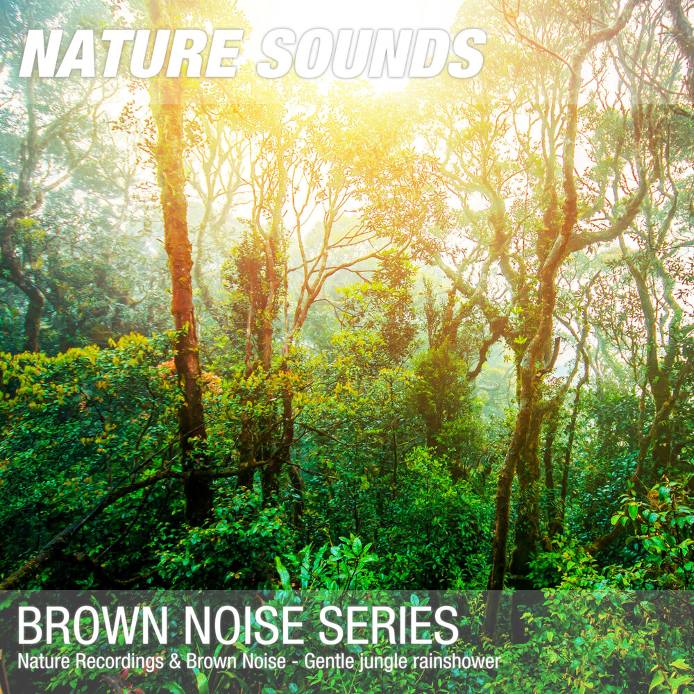 Nature noise